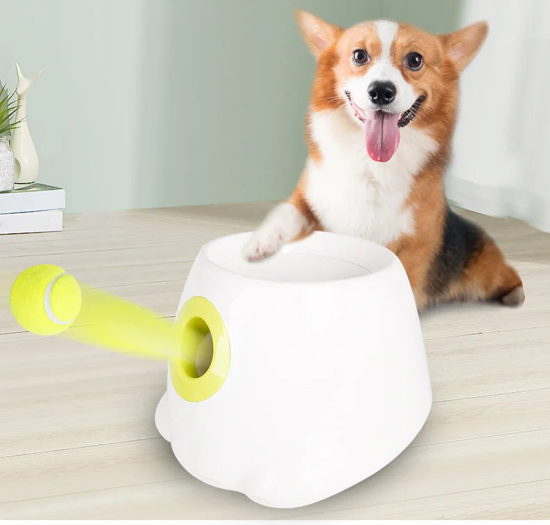 6pcs/ Pack Dog Balls Pet Tennis Toy ball Automatic Thrower Supporting Launch Bouncy Spare ball