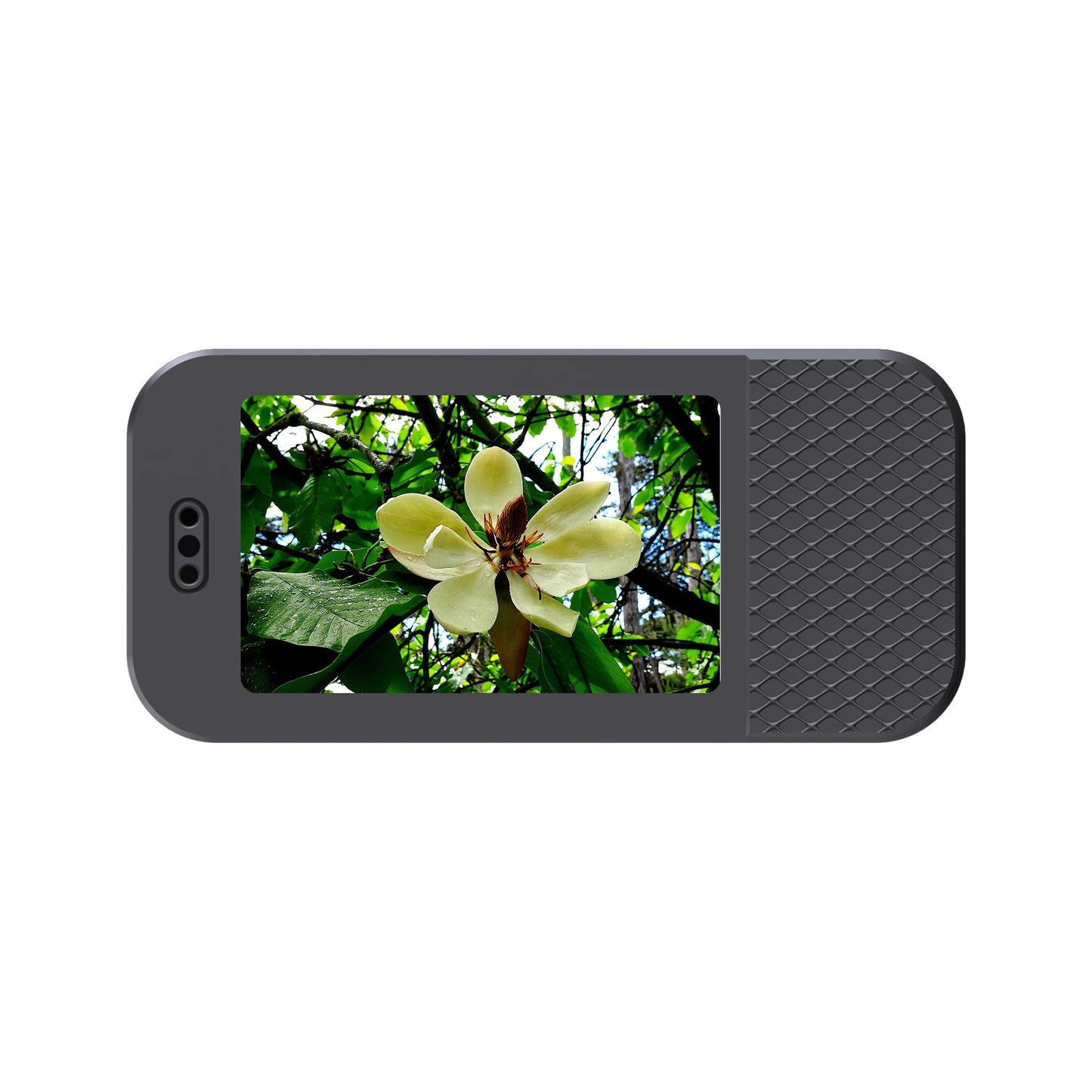 HD 1080P Pet Cameras Outdoors Wireless Collar Camera No WiFi Needed Video Records for Cats Dogs Birthday Gift Mini Camera