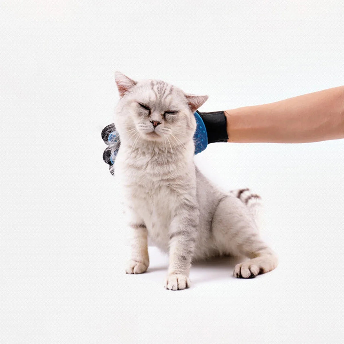 1 PCS Cat Glove Cat Grooming Glove Pet Brush Glove for Cat Dog Hair Remove Brush Dog Deshedding Cleaning Combs Massage Gloves